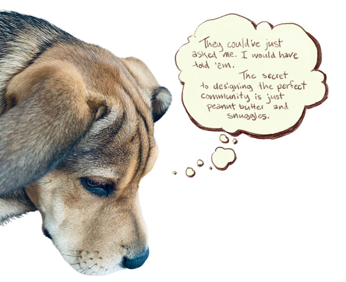 Rory, the wrinkly pup, contemplates a social permaculture.